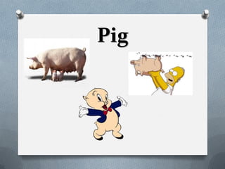 Pig
 