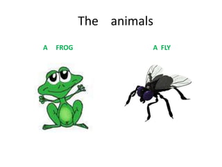 The animals
A   FROG             A FLY
 