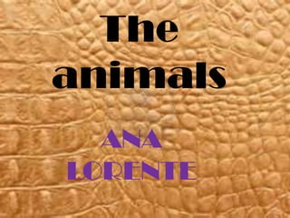 The
animals
  ANA
LORENTE
 
