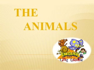 THE
ANIMALS

 