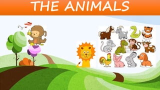 THE ANIMALS
 