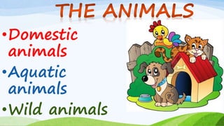 •Domestic
animals
•Aquatic
animals
•Wild animals
 