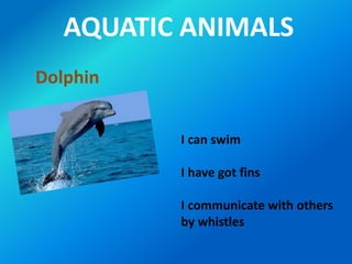 AQUATIC ANIMALS
I can swim
I have got fins
I communicate with others
by whistles
Dolphin