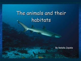 The animals and their habitats By Natalia Zapata 