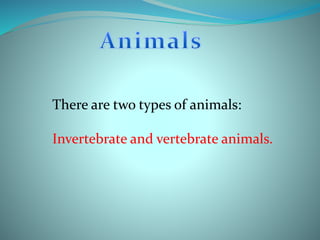 There are two types of animals:
Invertebrate and vertebrate animals.
 
