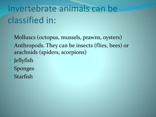 Invertebrate animals can be
classified in:
 Molluscs (octopus, mussels, prawns, oysters)
 Anthropods. They can be insects (flies, bees) or
arachnids (spiders, scorpions)
 Jellyfish
 Sponges
 Starfish
 