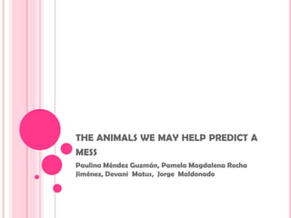 THE ANIMALS WE MAY HELP PREDICT A
MESS
Paulina Méndez Guzmán, Pamela Magdalena Rocha
Jiménez, Devani Matus, Jorge Maldonado
 