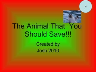 The Animal That  You  Should Save!!! Created by Josh 2010 hi 