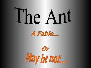 May be not.... The Ant 