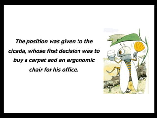 The position was given to the cicada, whose first decision was to buy a carpet and an ergonomic chair for his office. 