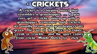 The Ant and The Cricket (Class 8) Powerpoint Presentation by Bhim Kumar