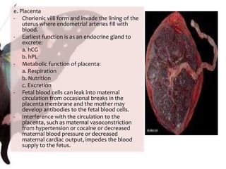 Fundal height 	a. At the level of the sypmphysis at 12-14 weeks	b. Rises at 1 cm/week until 36 weeks of gestation	c. At the level of umbilicus at 20 weeks