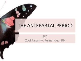 THE ANTEPARTAL PERIOD BY: Zosi Farah w. Fernandez, RN 