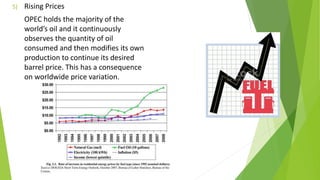 5) Rising Prices
OPEC holds the majority of the
world’s oil and it continuously
observes the quantity of oil
consumed and then modifies its own
production to continue its desired
barrel price. This has a consequence
on worldwide price variation.
 