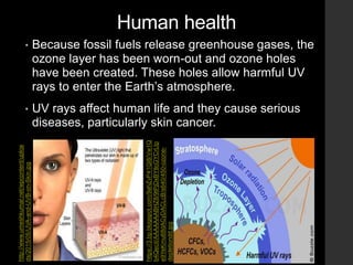Human health
• Because fossil fuels release greenhouse gases, the
ozone layer has been worn-out and ozone holes
have been created. These holes allow harmful UV
rays to enter the Earth’s atmosphere.
• UV rays affect human life and they cause serious
diseases, particularly skin cancer.
http://www.umeshkumar.net/wpcontent/uploa
ds/2015/05/UVA-and-UVB-on-Skin.jpg
https://3.bp.blogspot.com/9ahZvP41QI8/Vw1Q
b4QeciI/AAAAAAABHZ8/9tPjDxBYtlcGYCrLIp
e9YeKmu68dACyDACLcB/s640/450-ozone-
depletiondd.jpg
 