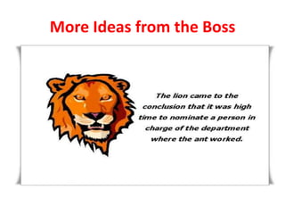 More Ideas from the Boss

 
