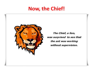 Now, the Chief!

 
