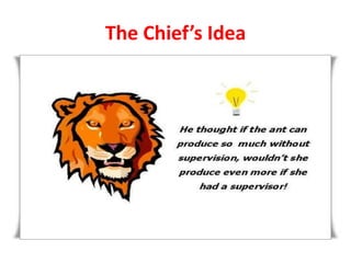 The Chief’s Idea

 