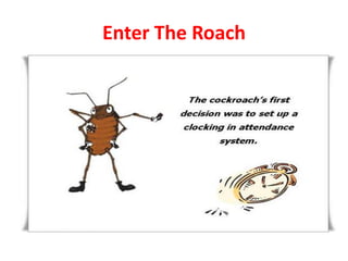 Enter The Roach

 