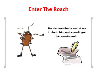 Enter The Roach

 