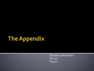 The Appendix Elizabeth Lee Gregory Bio 120 6/13/10 