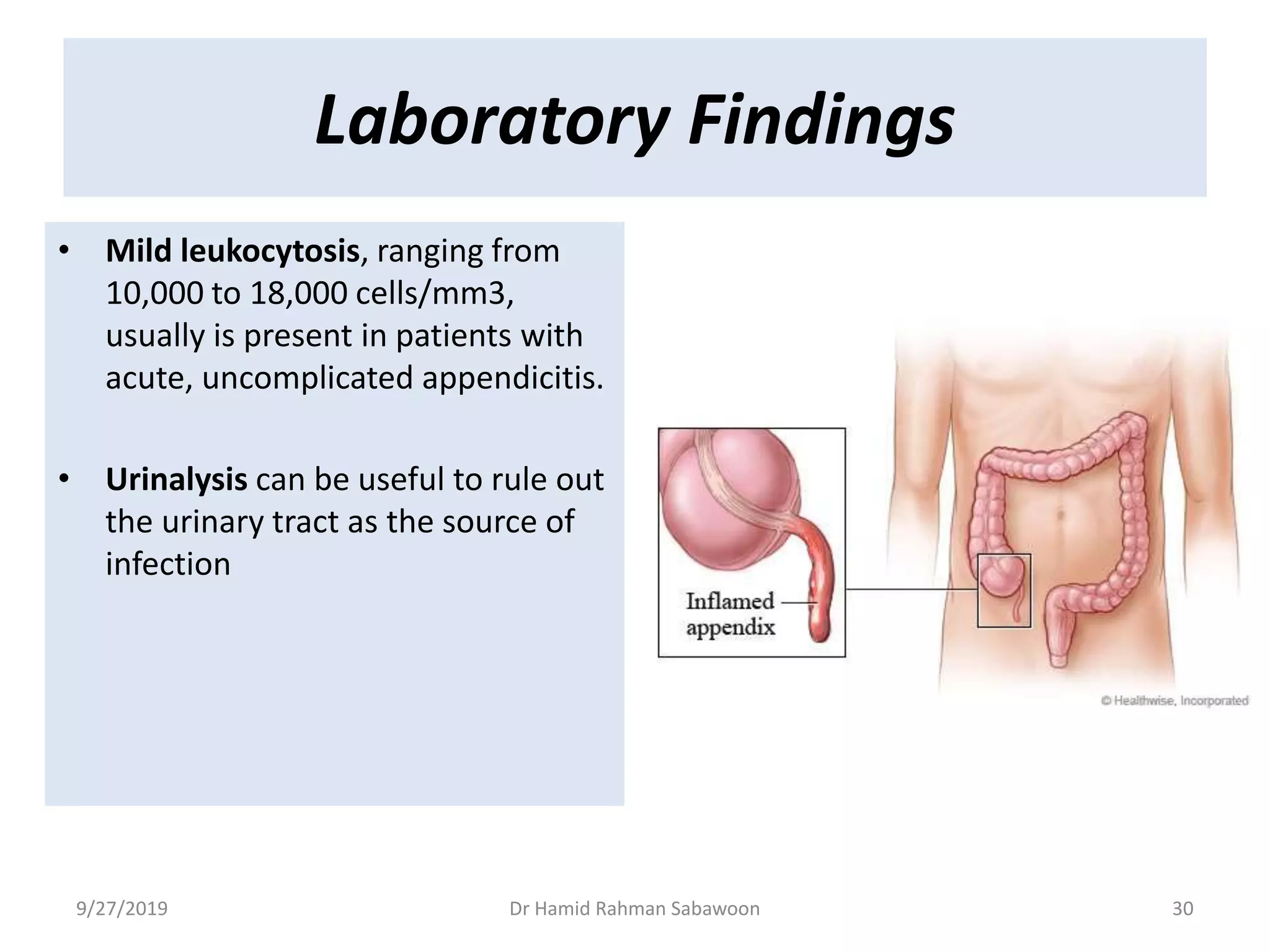 The appendix | PPTX