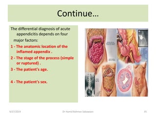 The appendix | PPTX