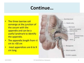 The appendix | PPTX
