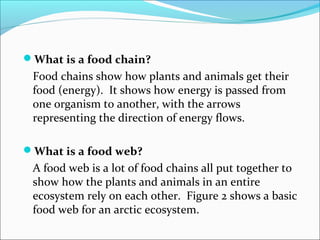 What is a food chain? 
Food chains show how plants and animals get their 
food (energy). It shows how energy is passed from 
one organism to another, with the arrows 
representing the direction of energy flows. 
What is a food web? 
A food web is a lot of food chains all put together to 
show how the plants and animals in an entire 
ecosystem rely on each other. Figure 2 shows a basic 
food web for an arctic ecosystem. 
 