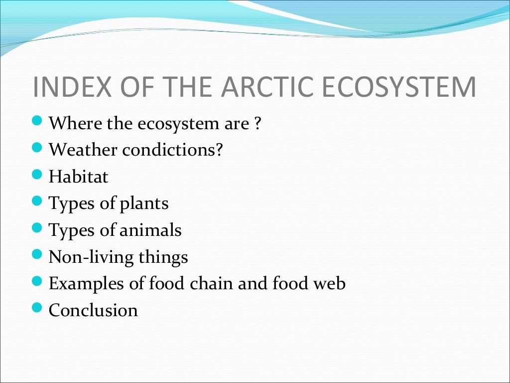 The arctic ecosystem
