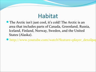 Habitat 
The Arctic isn’t just cool, it’s cold! The Arctic is an 
area that includes parts of Canada, Greenland, Russia, 
Iceland, Finland, Norway, Sweden, and the United 
States (Alaska). 
http://www.youtube.com/watch?feature=player_detailpage& 