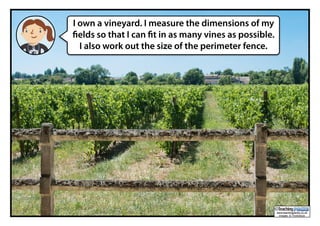 www.teachingpacks.co.uk
Images: © ThinkStock
©
I own a vineyard. I measure the dimensions of my
fields so that I can fit in as many vines as possible.
I also work out the size of the perimeter fence.
 