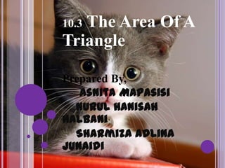 10.3 The Area Of A Triangle Prepared By, AsnitaMapasisi NurulHanisahHalbani SharmizaAdlinaJunaidi 