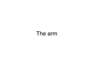 The arm
 