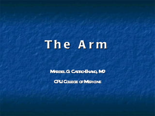 The Arm Maribel G. Castro-Enano, MD CPU College of Medicine 