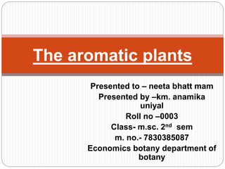 Presented to – neeta bhatt mam
Presented by –km. anamika
uniyal
Roll no –0003
Class- m.sc. 2nd sem
m. no.- 7830385087
Economics botany department of
botany
The aromatic plants
 