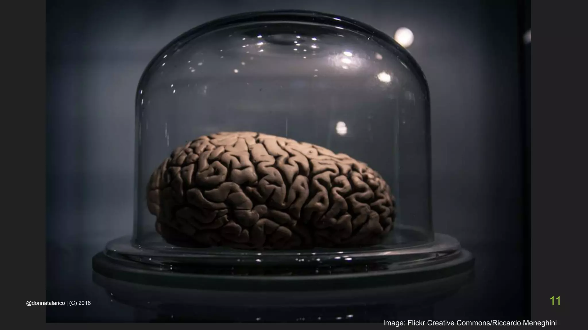 Image: Flickr Creative Commons/Riccardo Meneghini
@donnatalarico | (C) 2016 11
 