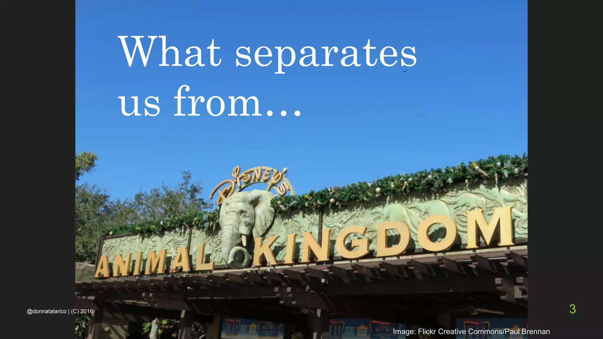What separates
us from…
Image: Flickr Creative Commons/Paul Brennan
@donnatalarico | (C) 2016 3
 