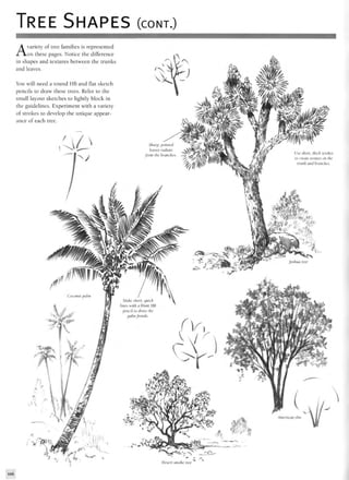 TREE SHAPES (CONT.)
Avariety of tree families is represented
on these pages. Notice the difference
in shapes and textures between the trunks
and leaves.
You will need a round HB and flat sketch
pencils to draw these trees. Refer to the
small layout sketches to lightly block in
the guidelines. Experiment with a variety
of strokes to develop the unique appear-
ance of each tree.
Desert smoke tree
106
 