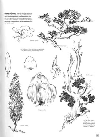 Studying Differences Study the sketch of the tree you
wish to draw. Block in the basic shape with the side of the
pencil lead, keeping the lines simple and smooth. Then
add any unique features, such as a stray, leafless branch
or small clusters of foliage. To create texture, try changing
the direction of your strokes, as well as the angle at which
you hold the pencil.
Monterey cypress
Use bold lines to draw the Monterey cypress and
thin, delicate strokes for the weeping willow.
Lombardy poplar
Weeping willow
Use the sharp point oj
an UB pencil to draw the
needles. Dark variations
should be applied using
the side oj a 2B pencil.
107
 