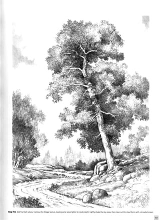 Step Five Add final dark values. Continue the foliage texture, leaving some areas lighter to create depth. Lightly shade the sky areas; then clean out the cloud forms with a kneaded eraser.
117
 