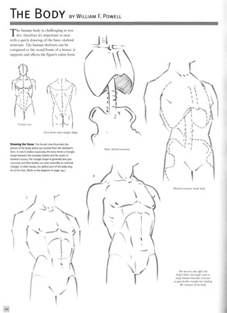 THE BODY BY WILLIAM F. POWELL
The human body is challenging to ren-
der; therefore it's important to start
with a quick drawing of the basic skeletal
structure. The human skeleton can be
compared to the wood frame of a house; it
supports and affects the figure's entire form.
A ' K
Frontal view
Torso forms into triangle, shape
Drawing the Torso The frontal view illustrates the
planes of the body, which are created from the skeleton's
form. In men's bodies especially, the torso forms a triangle
shape between the shoulder blades and the waist. In
women's torsos, the triangle shape is generally less pro-
nounced, and their bodies can even resemble an inverted
triangle. In other words, the widest part of the body may
be at the hips. (Refer to the diagram on page 134.)
M _
The muscles also affect the
body's form. You might want to
study human muscular structure
to gain further insight into shading
the contours of the body.
132
 