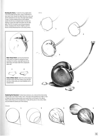 Drawing the Cherry To start the cherry, lightly block
in the round shape and the stem, using a combination of
short sketch lines. Smooth the sketch lines into curves, and
add the indentation for the stem. Then begin light shading
in step 3. Continue shading until the cherry appears
smooth. Use the tip of a kneaded eraser to remove any
shading or smears that might have gotten into the high-
lights. Then fill in the darker areas using overlapping
strokes, changing stroke direction slightly to give the
illusion of three-dimensional form to the shiny surface.
Cherry
Water Drops Detail Use the arrow directions
shown above as a guide for shading the cherry
according to its contour. Leave light areas for the
water drops, and shade inside them, keeping the
values soft.
Pools of Water Detail Sketch the outline shape of
the pool of water with short strokes, as you did with
the cherry. Shade softly, and create highlights with a
kneaded eraser.
Rendering the Chestnuts To draw these chestnuts, use a circle and two intersecting
lines to make a cone shape in steps 1 and 2. Then place some guidelines for ridges in step
3. Shade the chestnuts using smooth, even strokes that run the length of the objects.
These strokes bring out form and glossiness. Finally add tiny dots on the surface. Make
the cast shadow the darkest part of the drawing.
Chestnuts
 