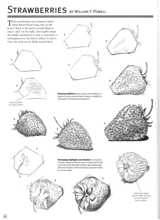 STRAWBERRIES BY WILLIAM F. POWELL
These strawberries were drawn on plate-
finish Bristol board using only an HB
pencil. Block in the berry's overall shape in
steps 1 and 2 to the right. Then lightly shade
the middle and bottom in step 3, and scatter a
seed pattern over the berry's surface in step 4.
Once the seeds are in, shade around them.
Sketch a grid for
the surface pattern.
Drawing Guidelines Draw a grid on the strawberry; it
appears to wrap around the berry, helping to establish its
seed pattern and three-dimensional form.
Developing Highlights and Shadows It's important
to shade properly around the seeds, creating small circular
areas that contain both light and dark. Also develop high-
lights and shadows on the overall berry to present a realis-
tic, uneven surface.
Indicate the shaded
areas by lightly drawing
circles around the
seeds as guides.
26
 