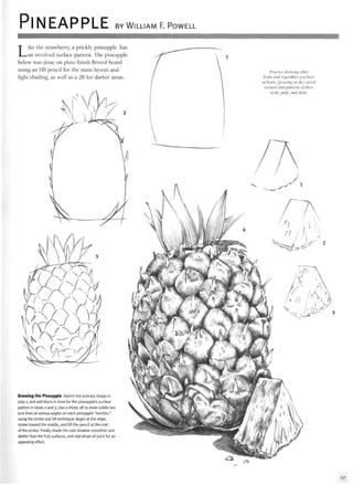 PINEAPPLE BY WILLIAM F. POWELL
Like the strawberry, a prickly pineapple has
an involved surface pattern. The pineapple
below was done on plate-finish Bristol board
using an HB pencil for the main layout and
light shading, as well as a 2B for darker areas.
1
Practice drawing other
fruits and vegetables you have
at home, focusing on the varied
textures and patterns of their
seeds, pulp, and skins.
Aw
Drawing the Pineapple Sketch the primary shape in
step 1, and add block-in lines for the pineapple's surface
pattern in steps 2 and 3. Use a sharp 2B to draw subtle tex-
ture lines at various angles on each pineapple "section,"
using the stroke and lift technique; begin at the edge,
stroke toward the middle, and lift the pencil at the end
of the stroke. Finally shade the cast shadow smoother and
darker than the fruit surfaces, and add drops of juice for an
appealing effect.
27
 