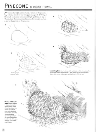 PINECONE BY WILLIAM F. POWELL
Compare the highly textured surface pattern of the pinecone
with the strawberry and pineapple on pages 26-27. Using an
HB pencil, position the pinecone with light guidelines in step 1.
Then indicate the tree trunk and pine needles in step 2, and add
a grid for the pattern on the pinecone.
Sketch a
the surface pattern
Establishing Detail Draw the shapes of the spiked scales, which change in size from
one end of the cone to the other. In step 4, begin shading the cone and surrounding
objects. Make the cast shadow appear to follow the curve of the tree root.
Working with Negative
Space Develop the grass
in step 5 by drawing the
negative spaces; instead
of drawing individual pine
needles and blades of
grass, fill in the shadows
between them. By shading
around the negative
spaces, the grass shapes
will automatically emerge
from the white of the paper.
(See page 13 for more on
negative space.)
28
 