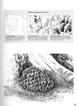 D E V E L O P I N G D E T A I L S
Tree Texture Guidelines To render the bark and
knothole of the gnarled tree trunk, first lightly draw in
the texture design. Then, when you're happy with the
general appearance, proceed with the shading.
Tree Texture Shading Short, rough strokes give the
impression of texture, whereas long, smooth strokes
provide interest and contrast. Use a combination of the
two strokes to provide the bark's shading and details.
Pinecone Scale Shading Develop each pinecone
scale separately, following the arrows on the diagram
above for the direction of your strokes. Keep the hatched
strokes smooth and close together.
29
 