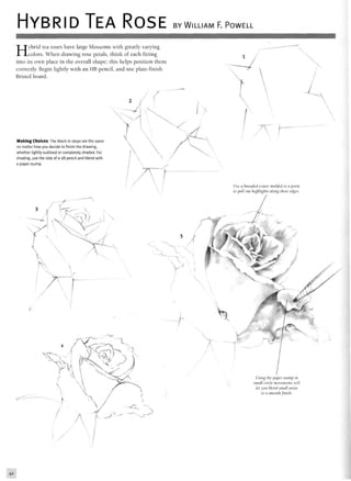 HYBRID TEA ROSE BY WILLIAM F. POWELL
Hybrid tea roses have large blossoms with greatly varying
colors. When drawing rose petals, think of each fitting
into its own place in the overall shape; this helps position them
correctly. Begin lightly with an HB pencil, and use plate-finish
Bristol board.
Making Choices The block-in steps are the same
no matter how you decide to finish the drawing,
whether lightly outlined or completely shaded. For
shading, use the side of a 2B pencil and blend with
a paper stump.
Using the paper stump in
small circle movements will
let you blend small areas
to a smooth finish.
 