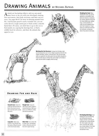 DRAWING ANIMALS BY MICHAEL BUTKUS
Animals are fascinating subjects, and you can spend
many hours at the zoo with your sketchpad, studying
their movements, their body structures, and their coat tex-
tures. (See pages 86-87 for more on drawing animals from
life.) And because pencil is such a versatile tool, you can
easily sketch a rough-coated goat or finely stroke a smooth
haired deer. Of course, you don't have to go to the zoo to
find models; try copying the drawings here, or find a
wildlife book for reference, and draw the animals that
appeal to you.
Studying the Head When
drawing the head, pay special
attention to the giraffe's most
distinctive features. Emphasize
the narrow, tapered muzzle and
the heavy-lidded eyes, adding
long, curved eyelashes. To
make sure the knobbed horns
don't look "pasted on," draw
them as a continuous line from
the forehead, curving back
where they attach to the head.
Working Out the Structure To draw the full body, make
sure the proportions are correct. Begin by placing circles for the
midriff, shoulders, withers, and haunches. Then use the body
width as a guide for the other parts: the neck (from shoulder to
head) and the legs are all bout the same length as the body is
wide, and the head is roughly a third as long.
D R A W I N G F U R
t Pi.
Smooth Coat Shade the
undercoat with the side of a
blunt 2B and pick out ran-
dom coat hairs with a sharp
HB pencil.
Long Hair Make wavy
strokes in the direction the
hair grows, lifting the pencil
at the end of each stroke.
Rough Coat Using the
side of your pencil, shade in
several directions. With your
pencil, use different strokes
and various pressures.
Short Hair Use a blunt HB
to make short, overlapping
strokes, lifting the pencil at
the end to taper the tips. •;
*- « A • *  i ! v . H r f t ^ 0
Developing Markings Start
drawing this trio by sketching
and refining their general
shapes and then outlining the
markings with a sharp-pointed
HB. Then shade in the spots
with a round-tip HB, making
your strokes darker in the shad-
ow areas, both on the spots
and between them.
 