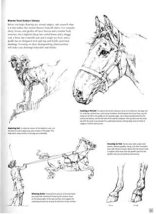 MAKING YOUR SUBJECT UNIQUE
Before you begin drawing any animal subject, ask yourself what
it is that makes that animal distinct from all others. For example
sheep, horses, and giraffes all have hooves and a similar body
structure, but a bighorn sheep has curled horns and a shaggy
coat, a horse has a smooth coat and a single-toe hoof, and a
giraffe has an elongated neck and legs and boldly patterned
markings. Focusing on these distinguishing characteristics
will make your drawings believable and lifelike.
Creating a Portrait To capture this horse's likeness, focus on its features: the large nos-
tril, wide eye, pointed ears, and strong cheekbone all distinguish this horse from, say, the
sheep on the left or the giraffe on the opposite page. Use a sharp-pointed pencil for the
outline and details, and the flat side of the lead for shadows. Then go back over the shad-
ing with the point to accentuate the underlying muscles, leaving large areas of white to
suggest a smooth, glossy coat.
Depicting Hair To show the texture of this bighorn's coat, use
the point of a 2B to apply long, wavy strokes on the body. Then
draw short, wispy tendrils on the legs and underbelly.
Focusing on Feet Horses have solid, single-toed
hooves, whereas giraffes, sheep, and other ruminants
have split (cloven) hooves. Notice that the horse's hoof
is angled a little more than the giraffe's and that the
giraffe's toes are not perfectly symmetrical.
Showing Action Drawing from pictures of animals helps
you study their movements frozen by the camera. Focus
on the sharp angles of the legs and feet, and suggest the
underlying muscles by varying the direction of your strokes.
Horse Giraffe
 